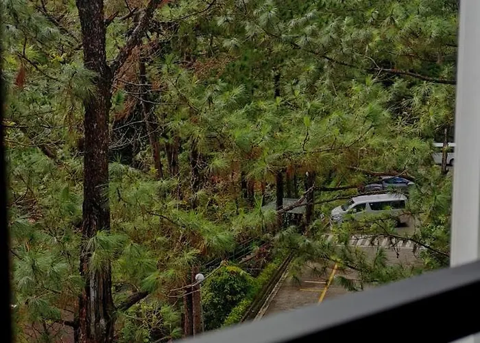 Misty Pines Homestay